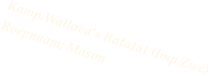 Kamp.Wallova’s Ratatat (Imp.Zwe) Roepnaam; Mason